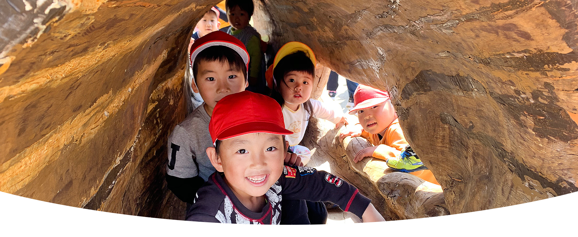 新幼研入会のお申し込み